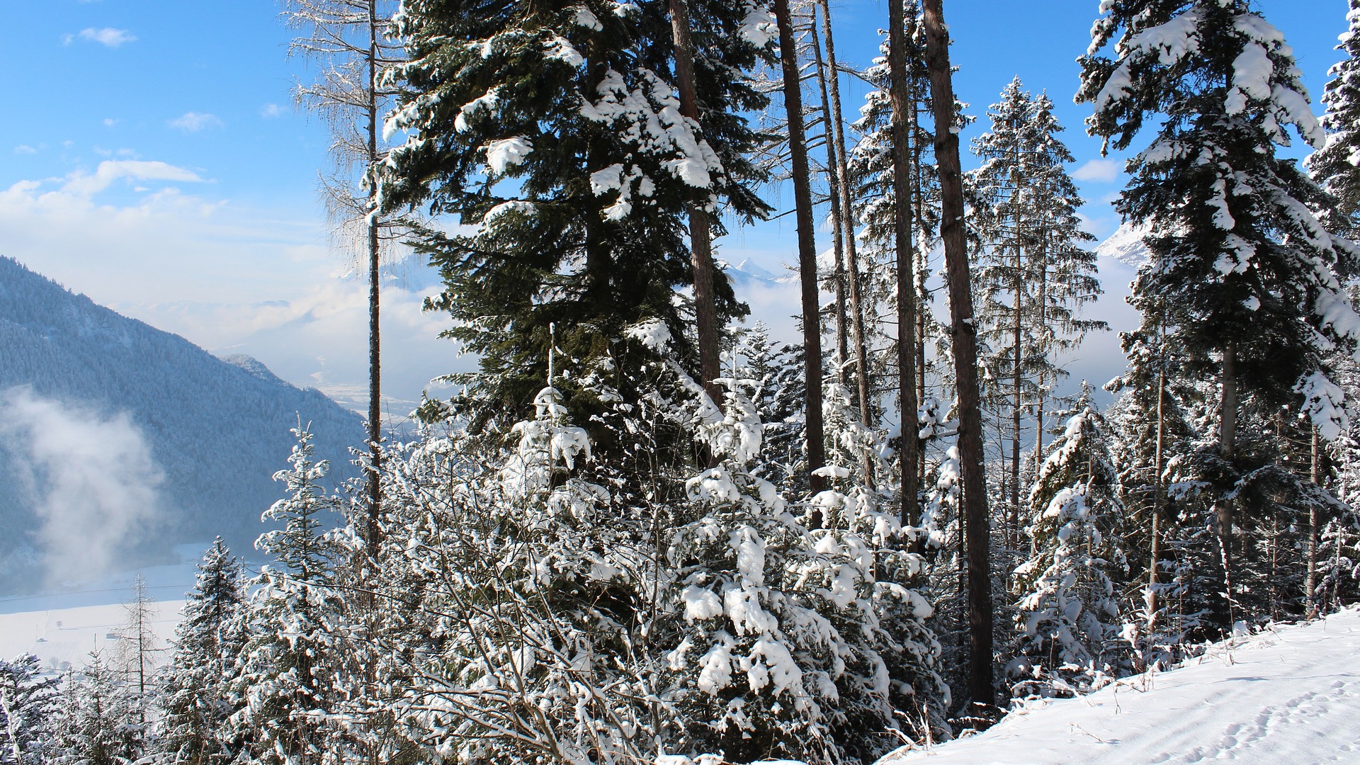 Is Alpbach Worth a Visit? Uncovering the Charm of Austria’s Picturesque Village