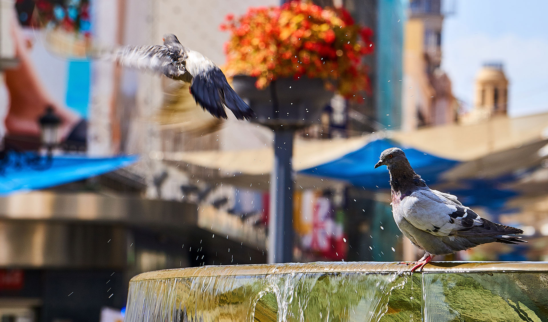 Best Places to Visit in Madrid With Kids in 3 Days: Your Itinerary