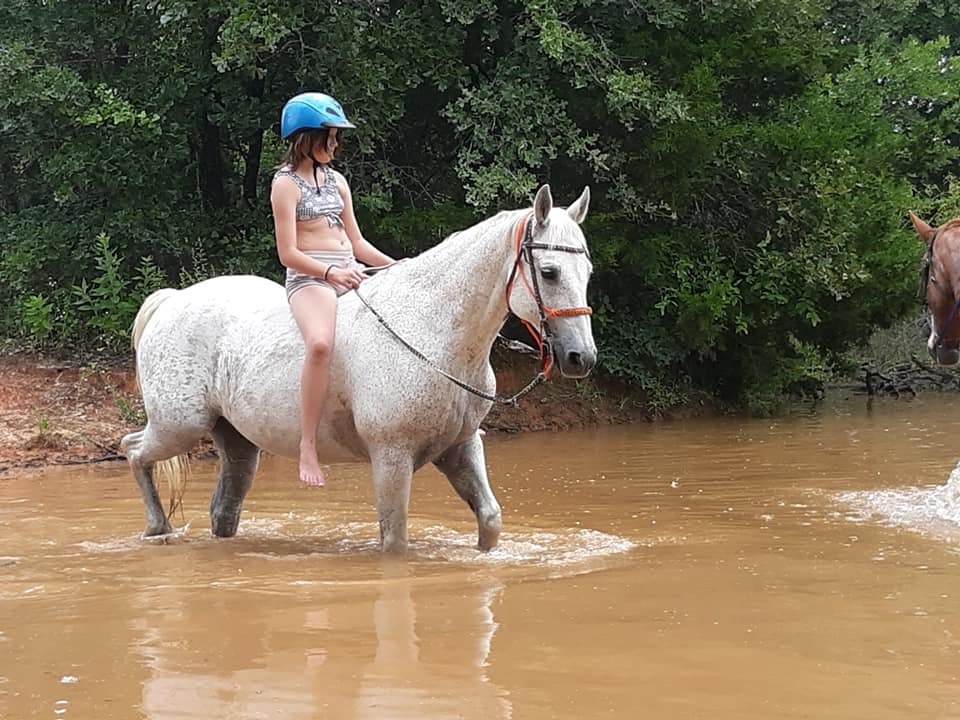 Agave Hurricane Trail Company Camp