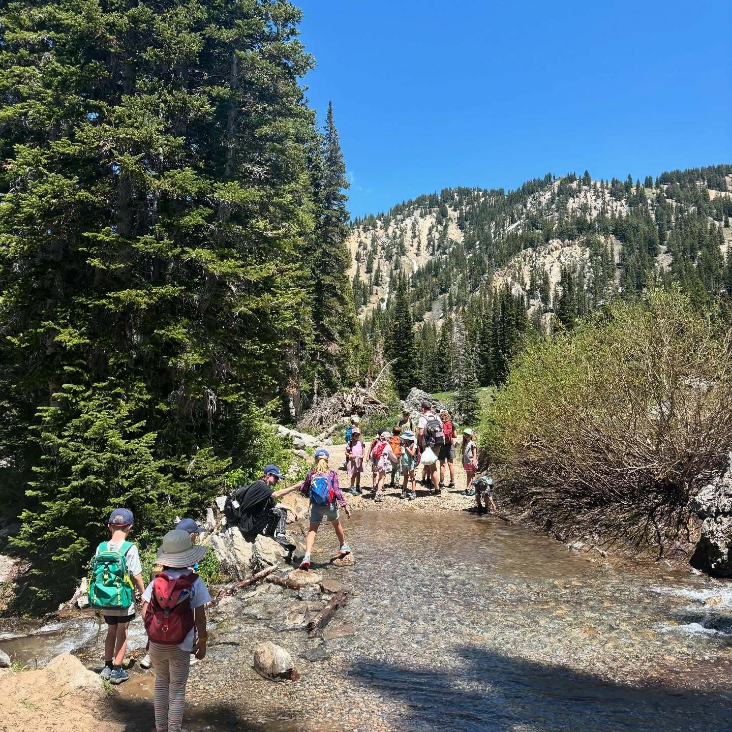 Alta Summer Camp photo 1