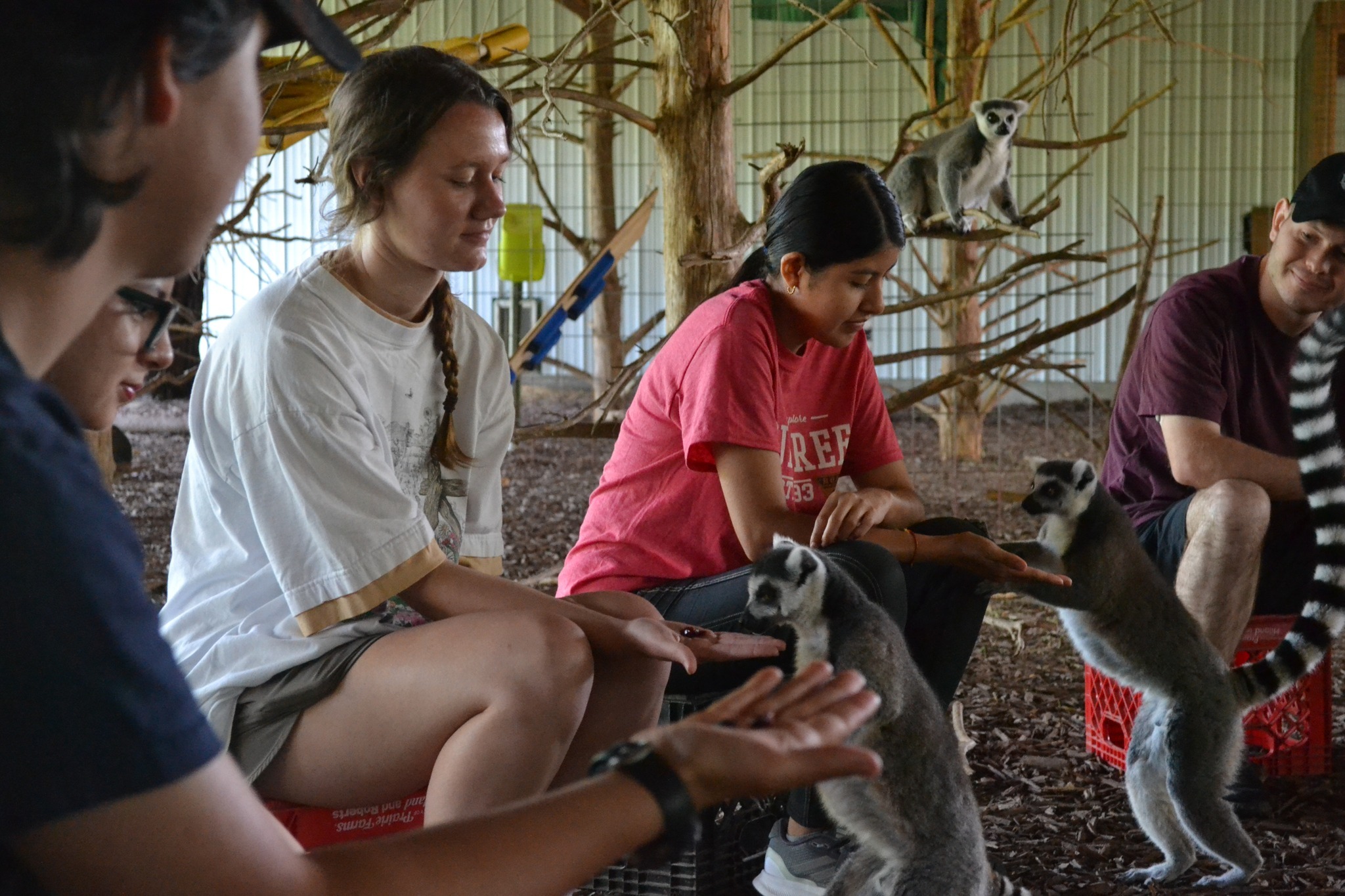 Animal Camp - Cub Creek Science Camp
