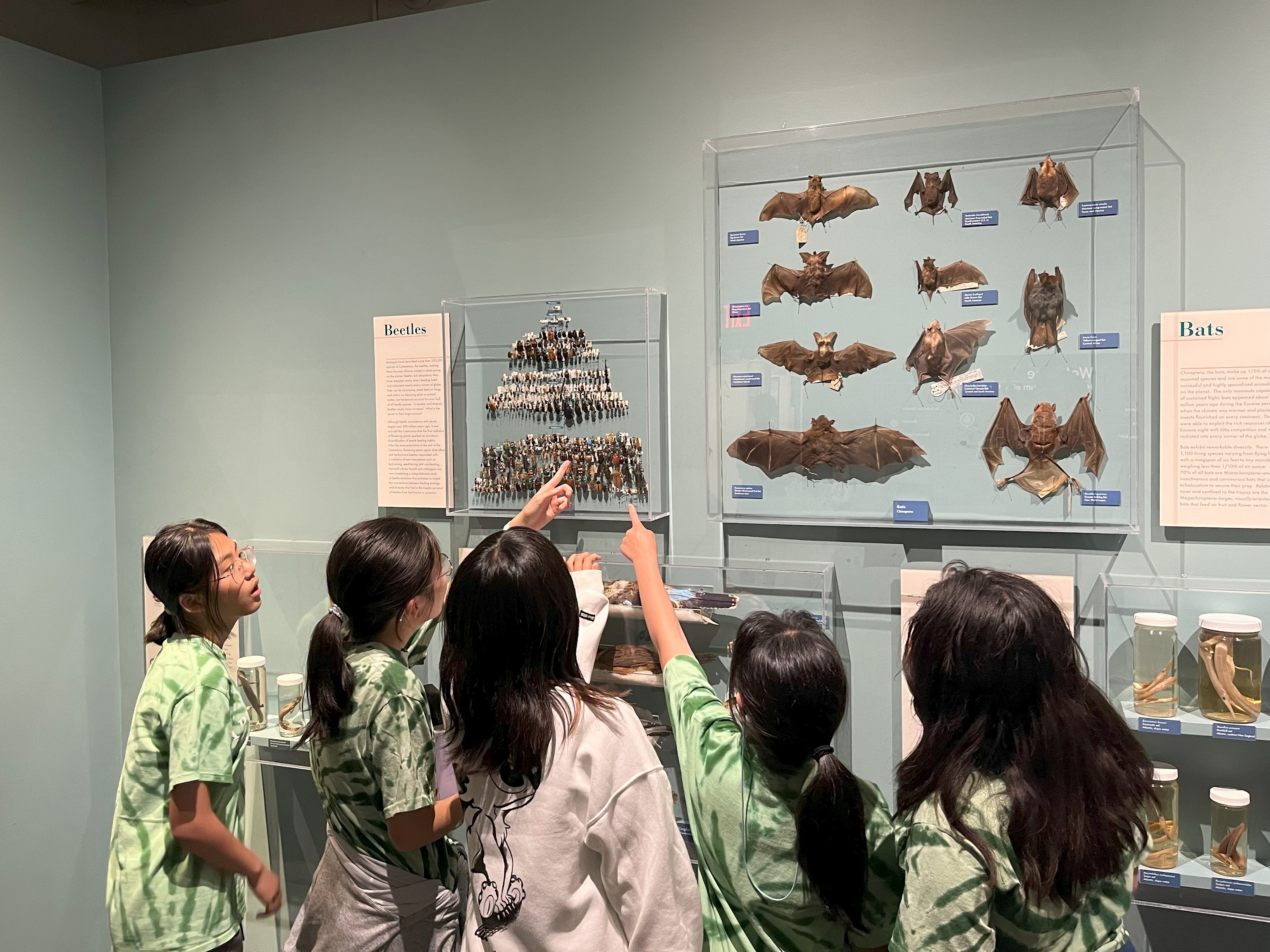 Explore Your Future photo 1