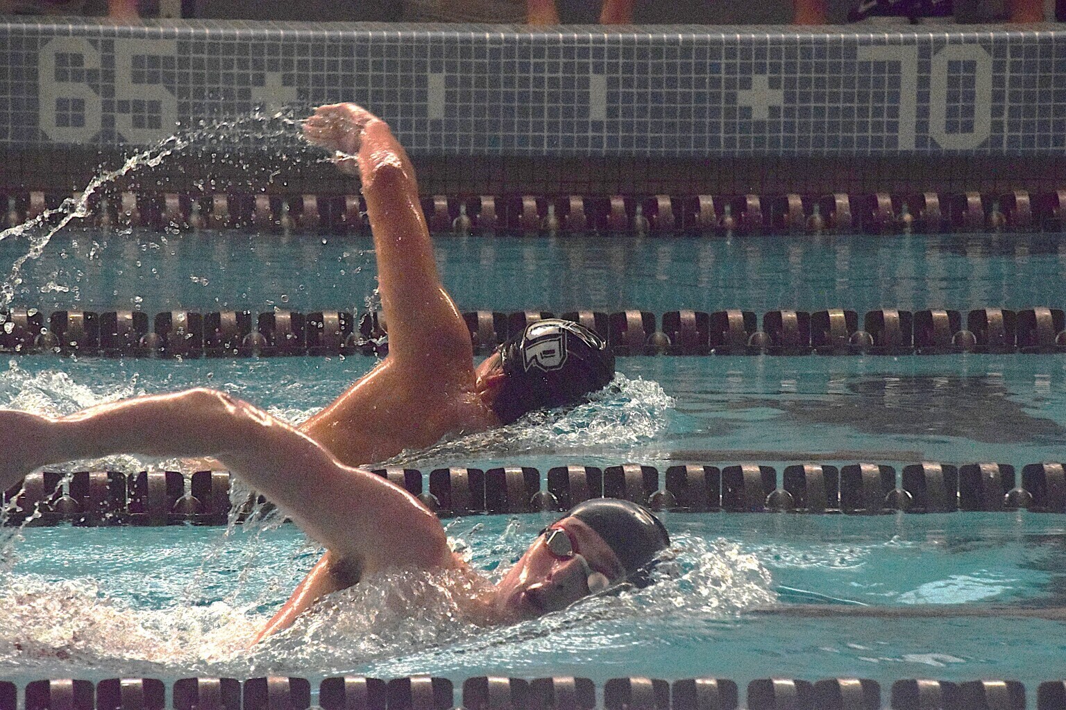 Arizona Winter Sprint Swim Camp photo 1