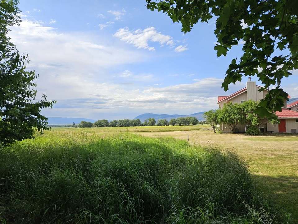 Saturday Academy Summer Camp photo 1