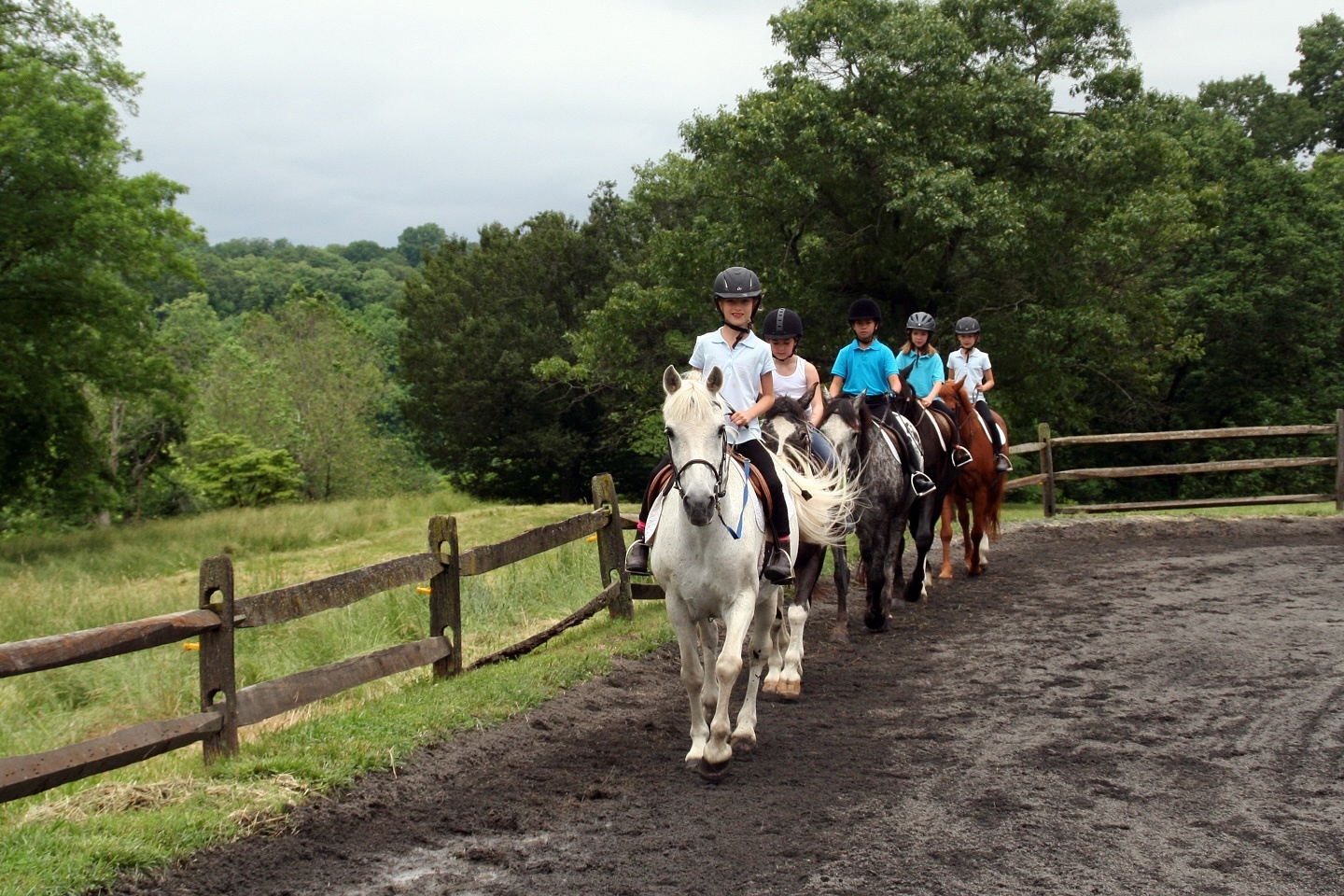 Ashford Farm Riding Camp