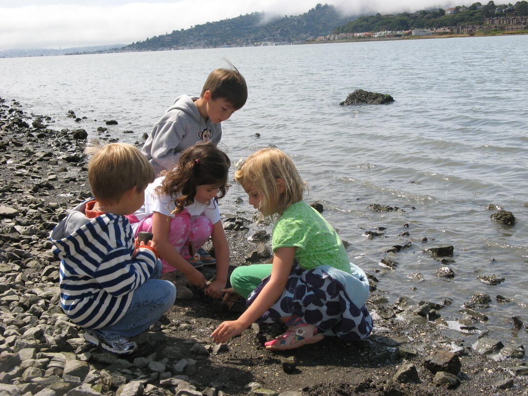 Audubon Summer Adventures photo 1