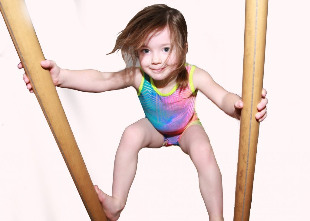 Into the Woods Alaska photo 1