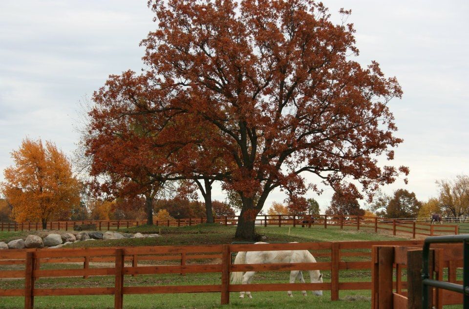 Camp Hawthorn Hollow photo 1