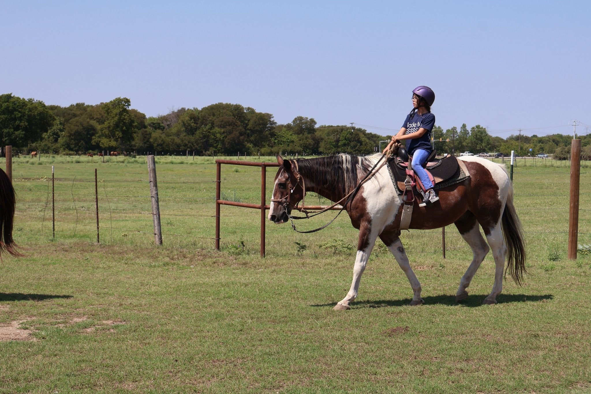 Benbrook Stables Horse Camp