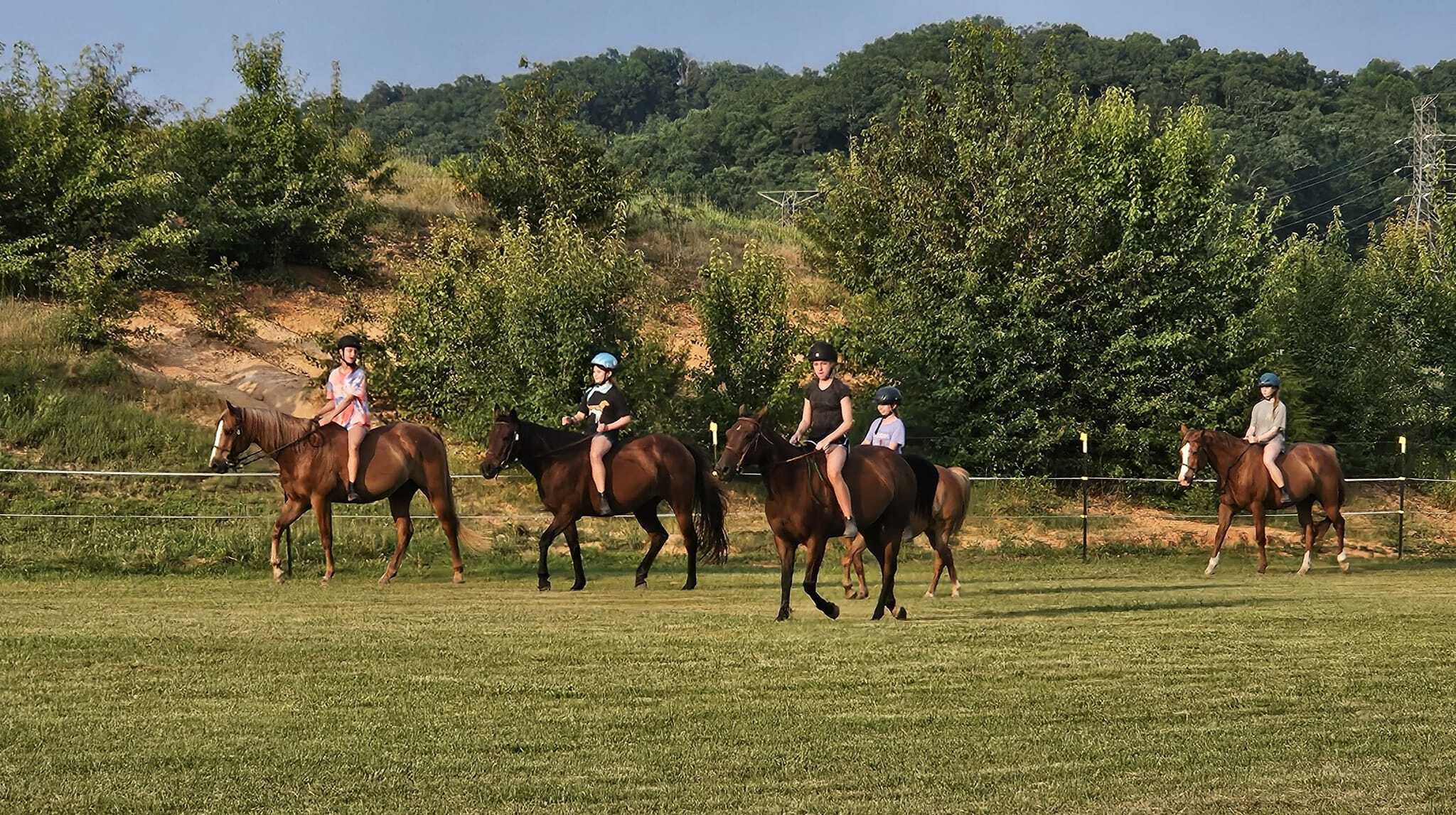 Blue Point Stables Summer Camps