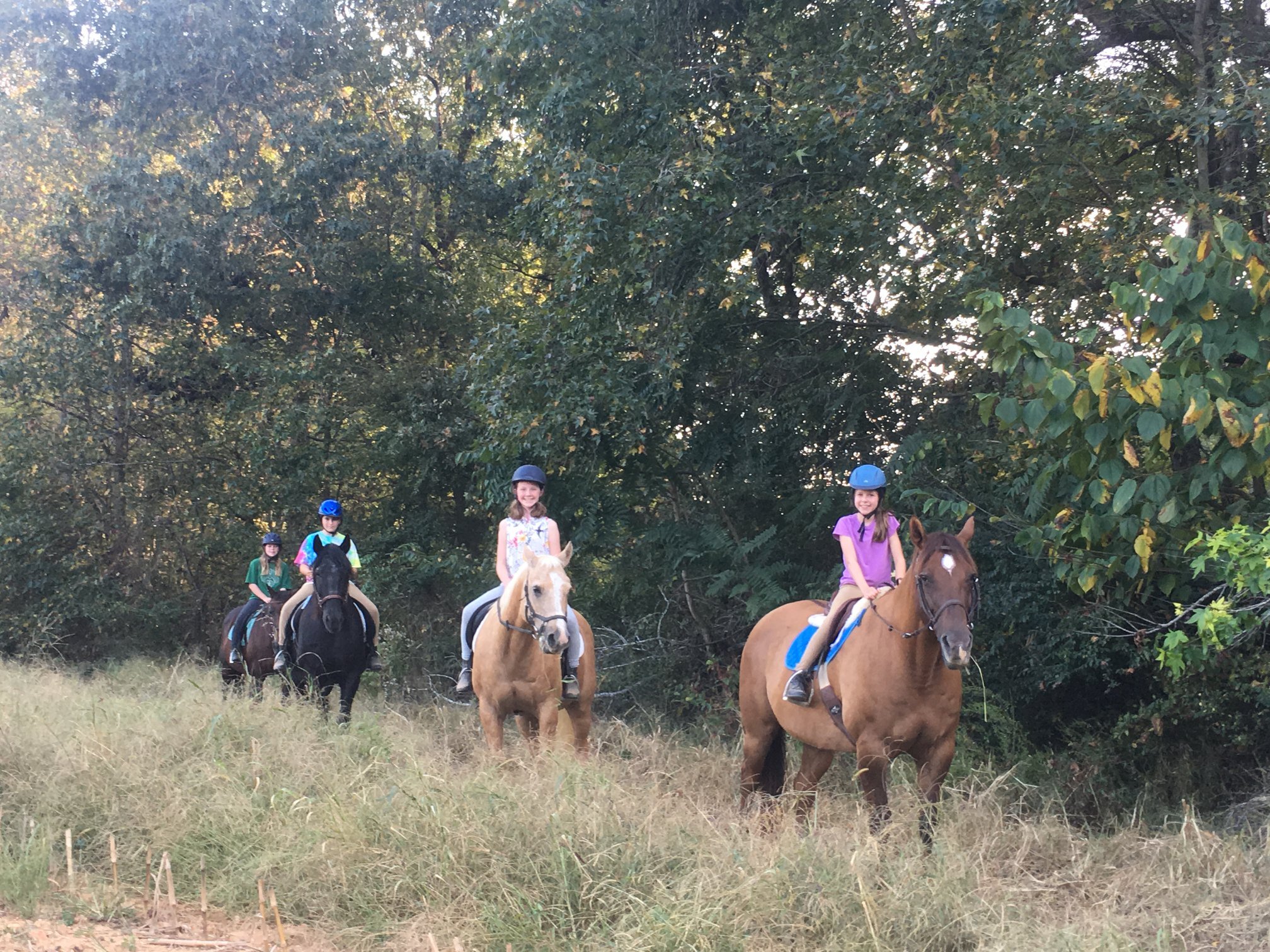 Blue Skies of Mapleview LLC photo 1