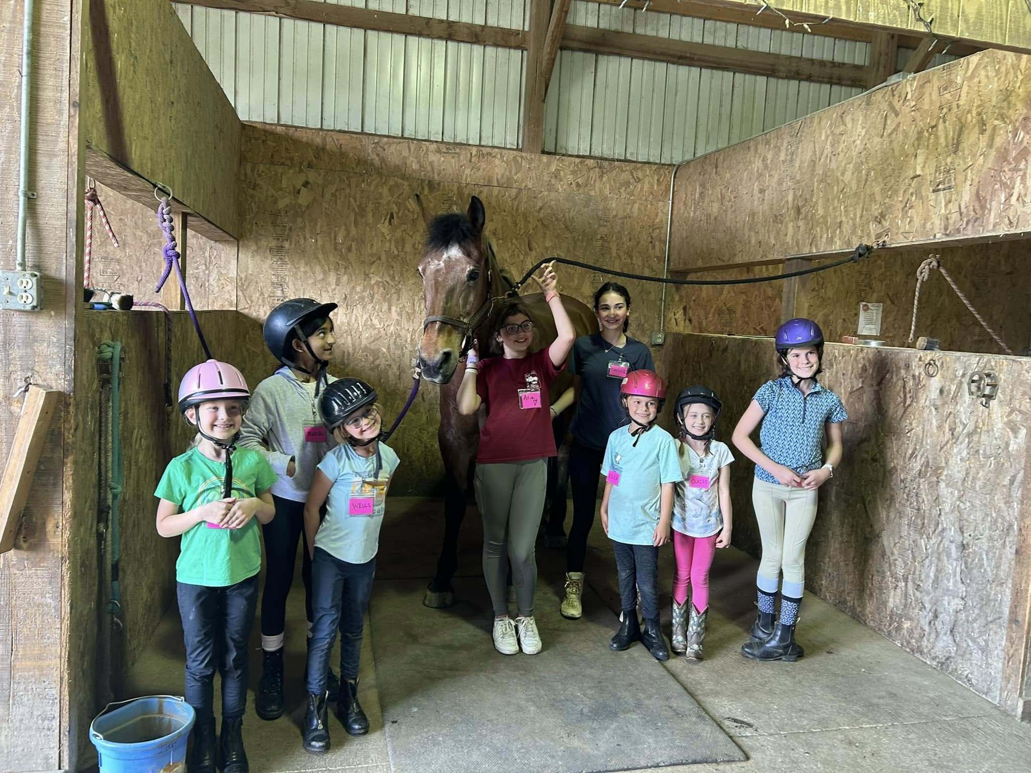 Bookmark Farms Summer Day Camp photo 1