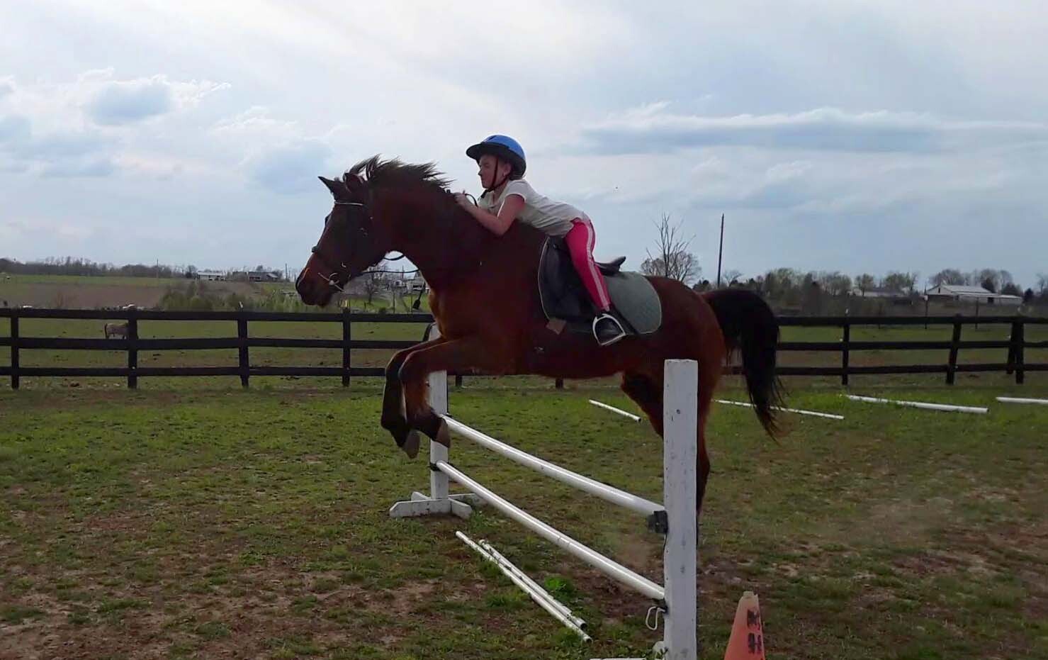 Boomer’s Landing Summer Camp photo 1