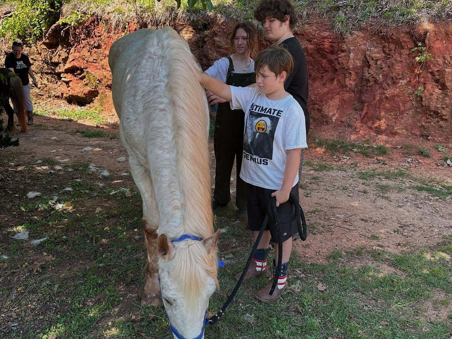 4-H Summer Camp Summerton photo 1