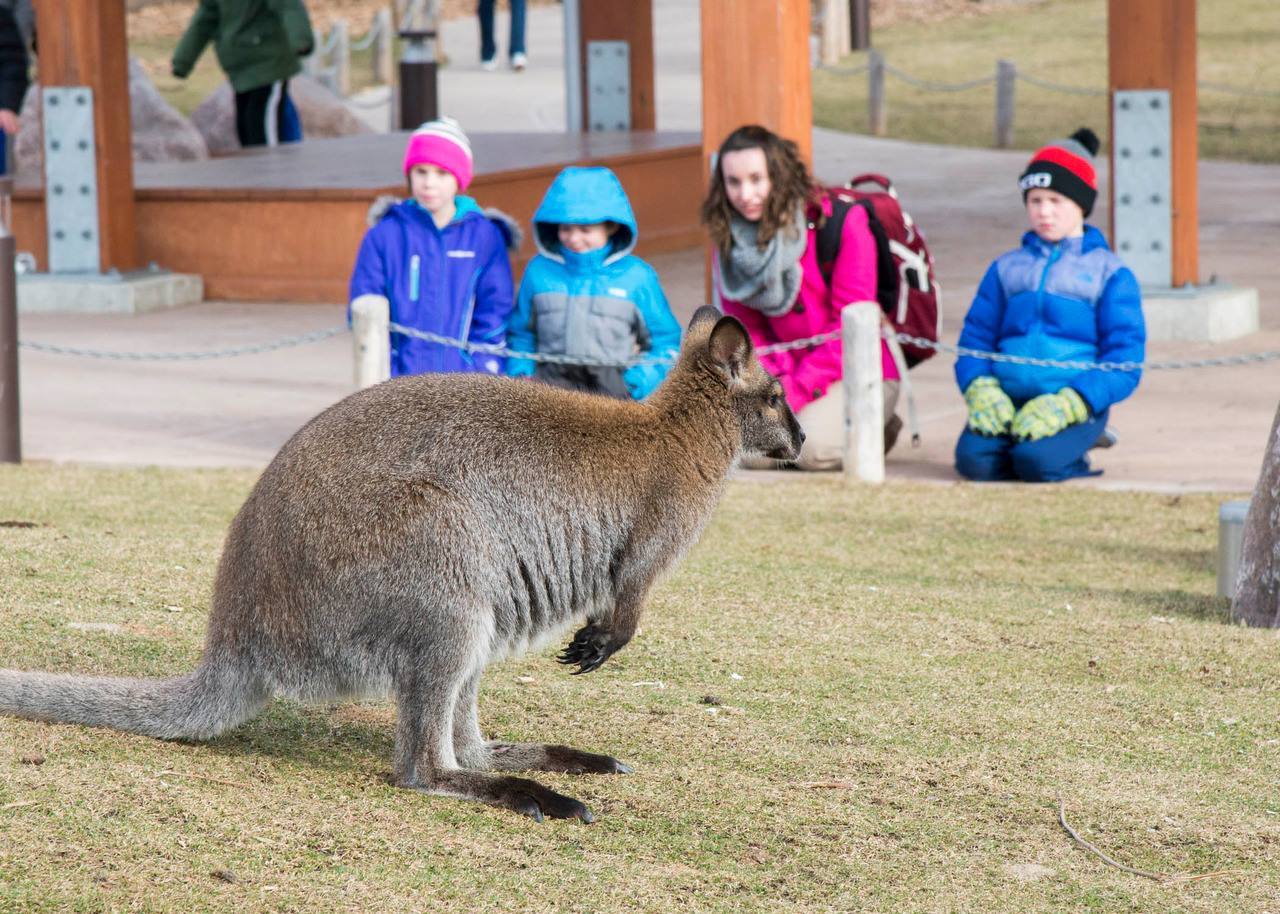 Coerver Coaching Camps photo 1