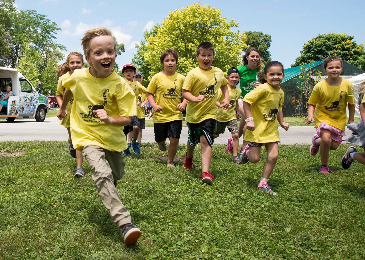 Brookfield Zoo Camp photo 1