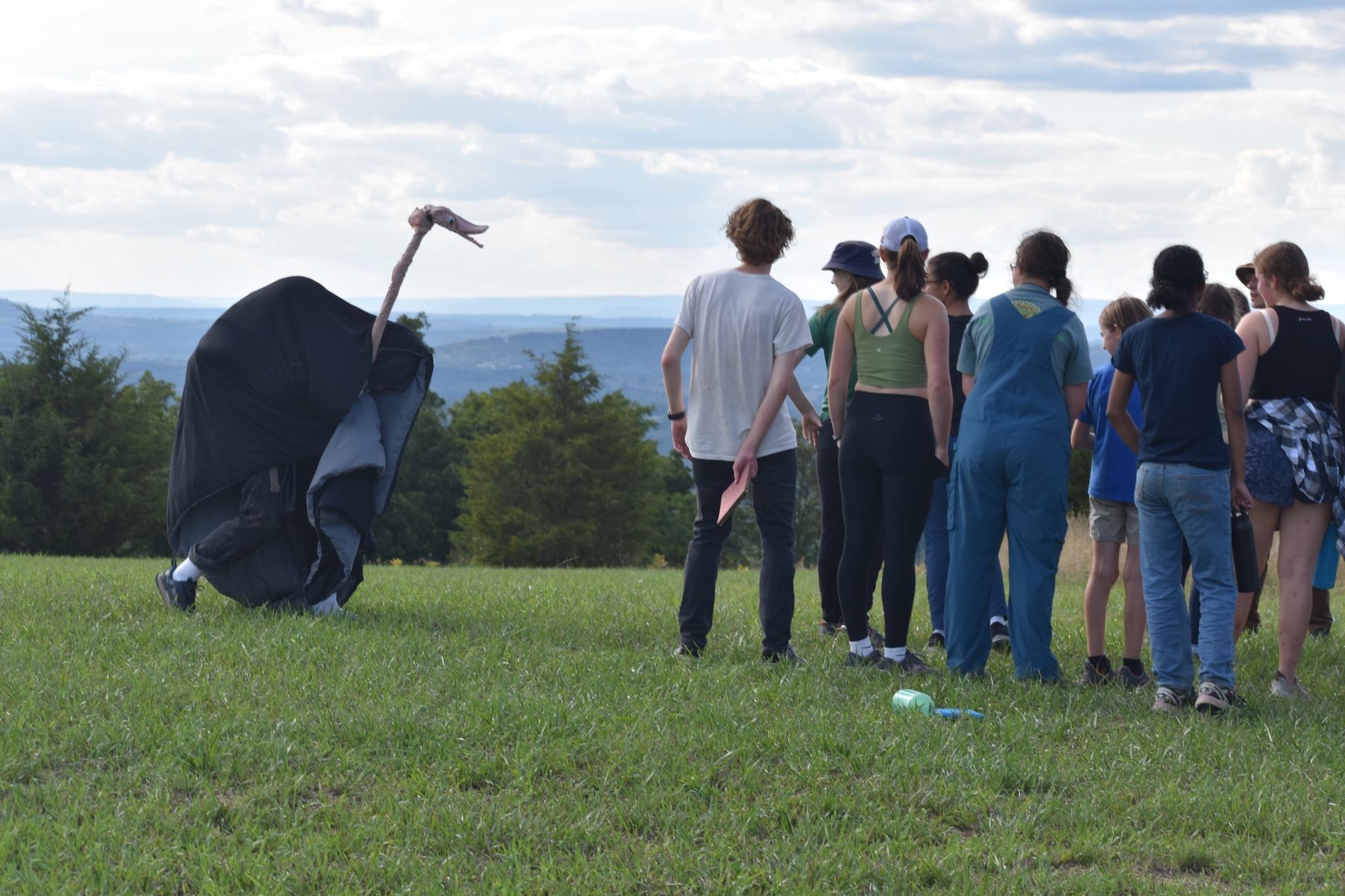 Oglebay Park Resort Summer Camp photo 1