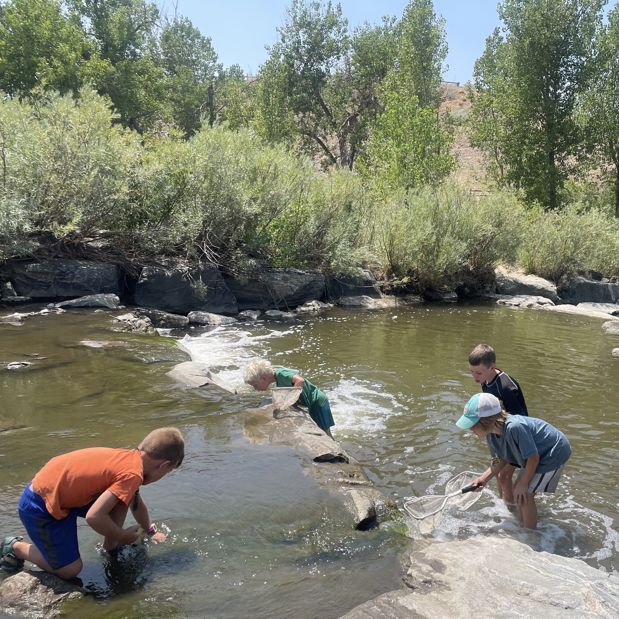 Bluff Lake Summer Camp photo 1
