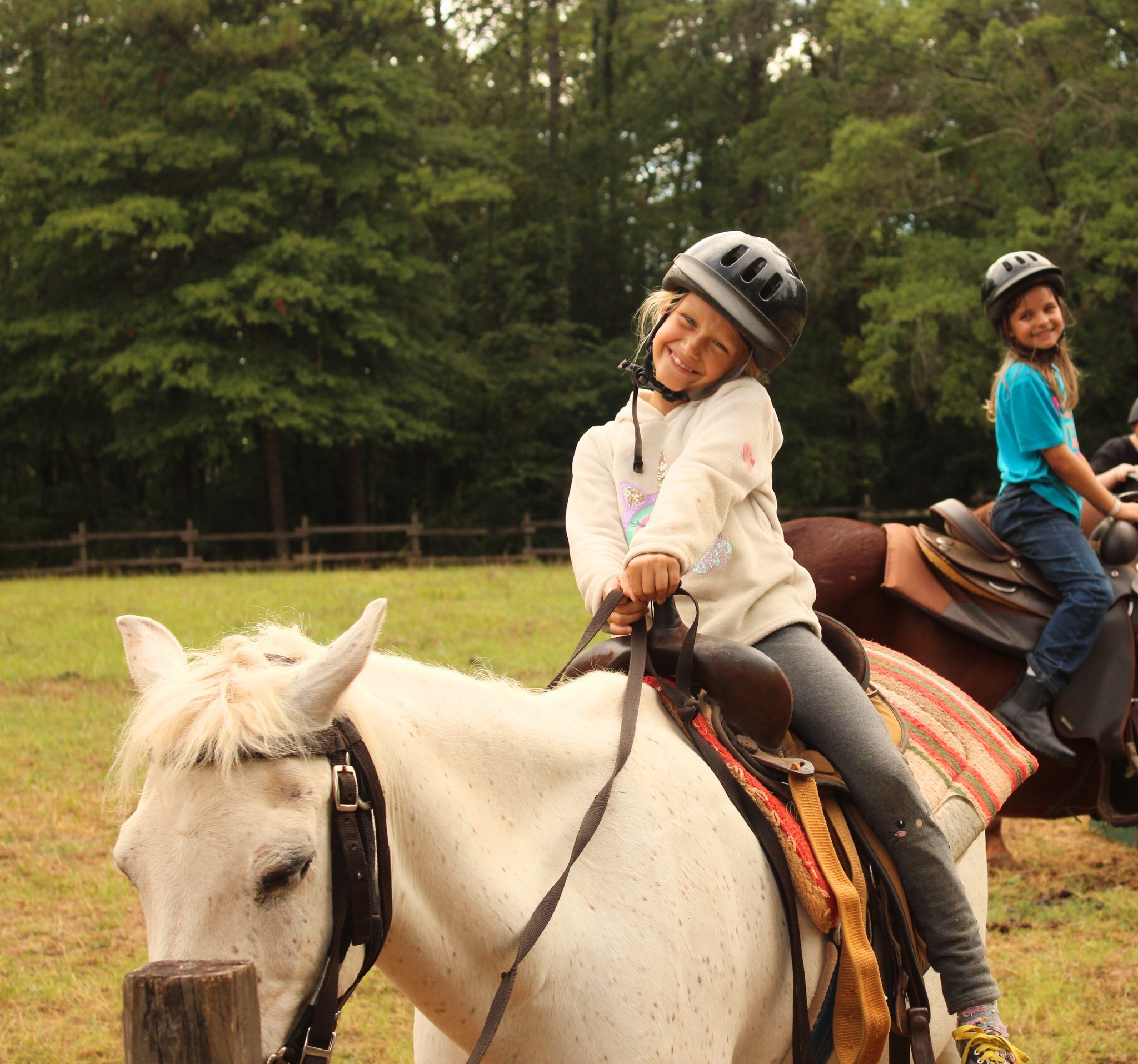 Adventures In Math and Science photo 1