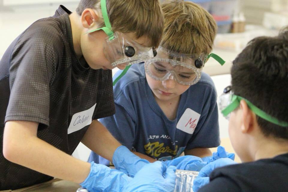 Camp Curiosity photo 1