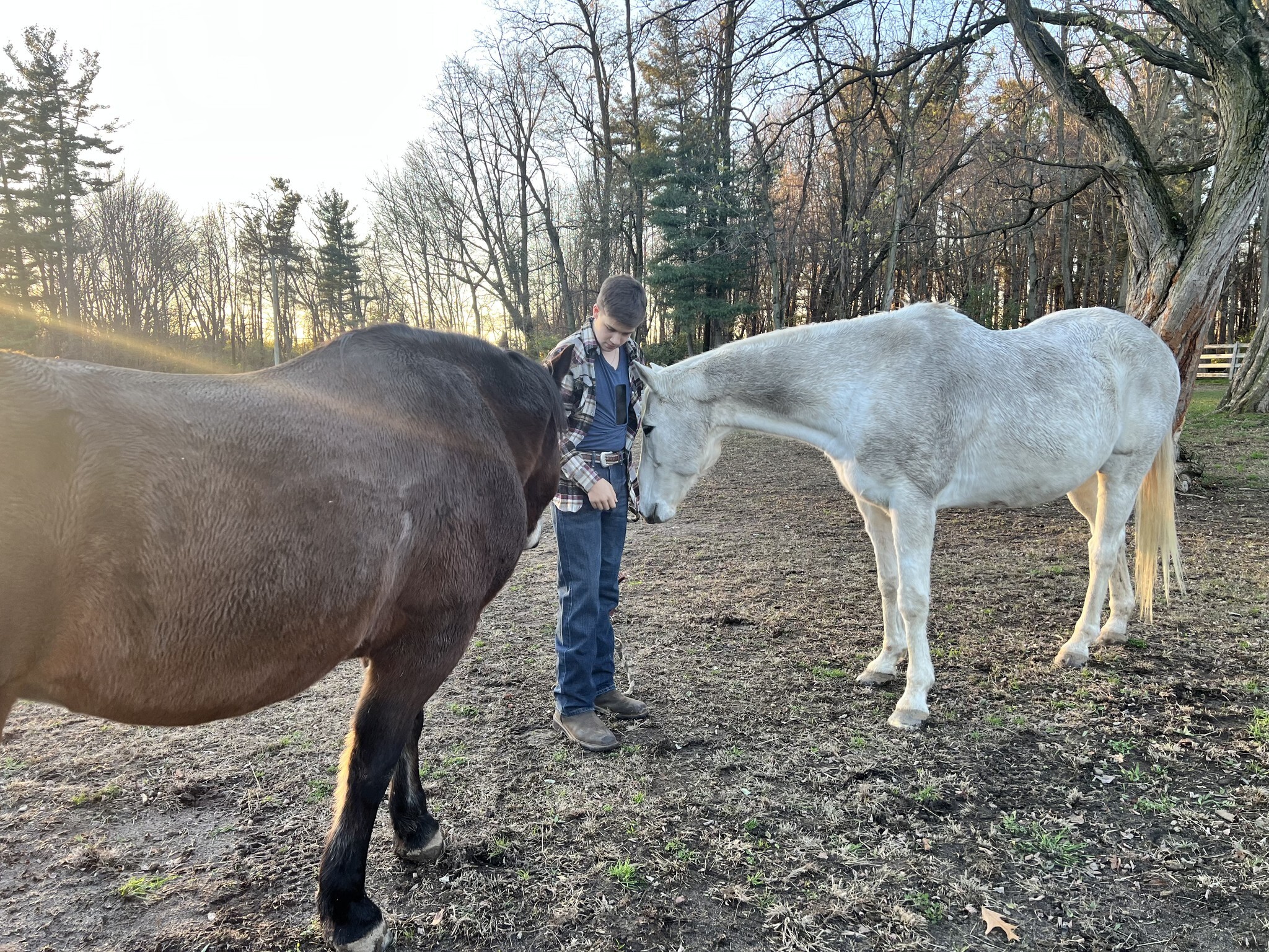 Greenwoods Camp For Boys photo 1