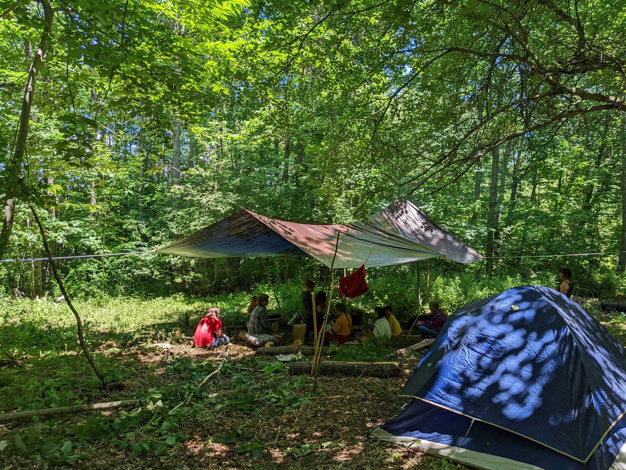 Camp Forest Maine photo 1