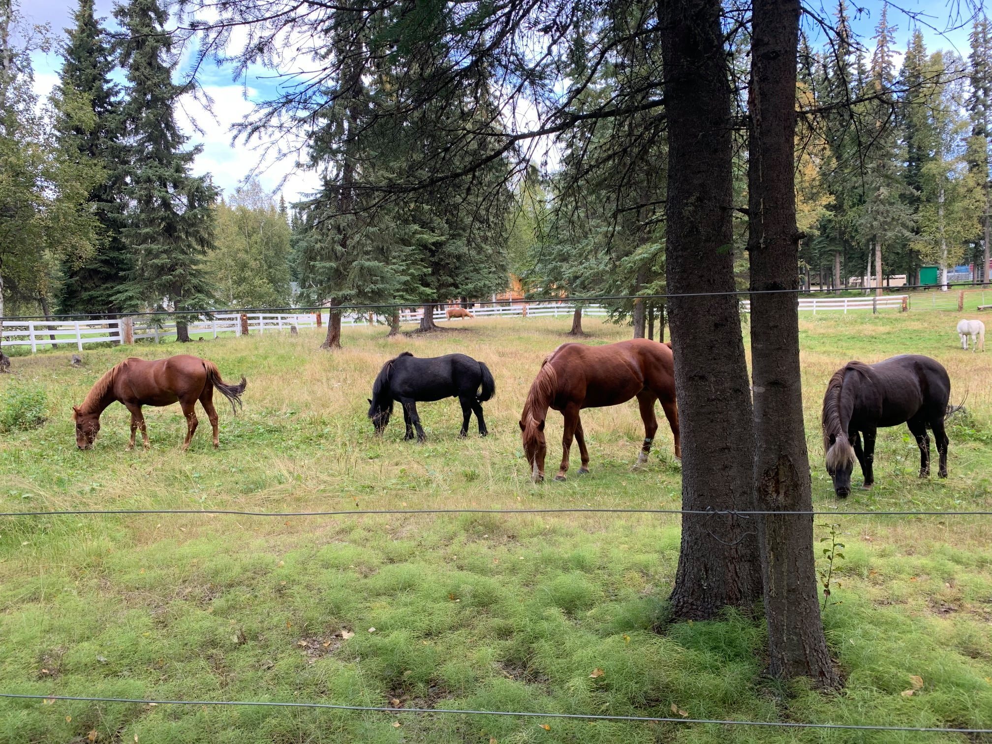 Grace Christian School - Anchorage, AK Basketball Camps photo 1