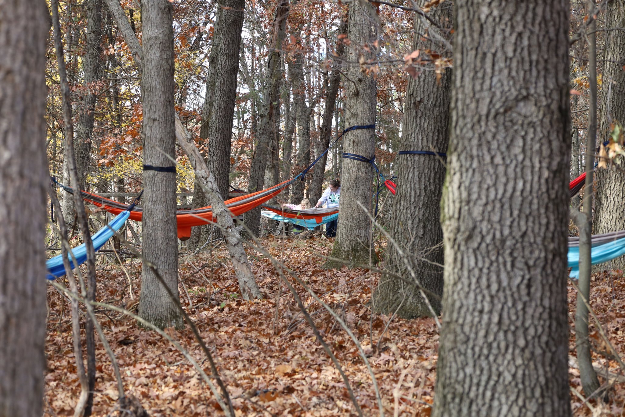 Steppingstone Summer Day Camps photo 1