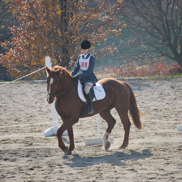 Camp Rock Baltimore photo 1