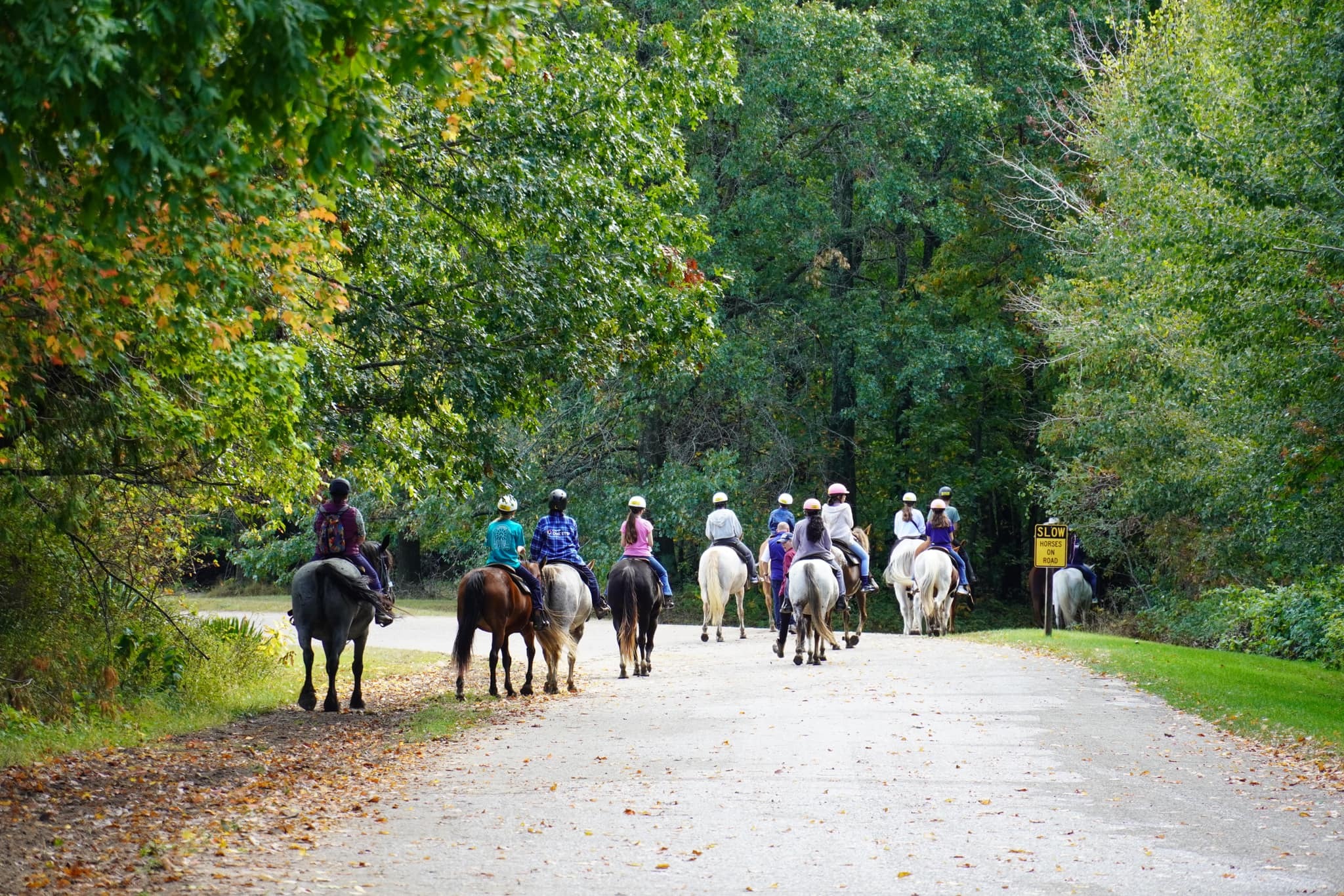 Unicoi Art Studio Summer Camp photo 1