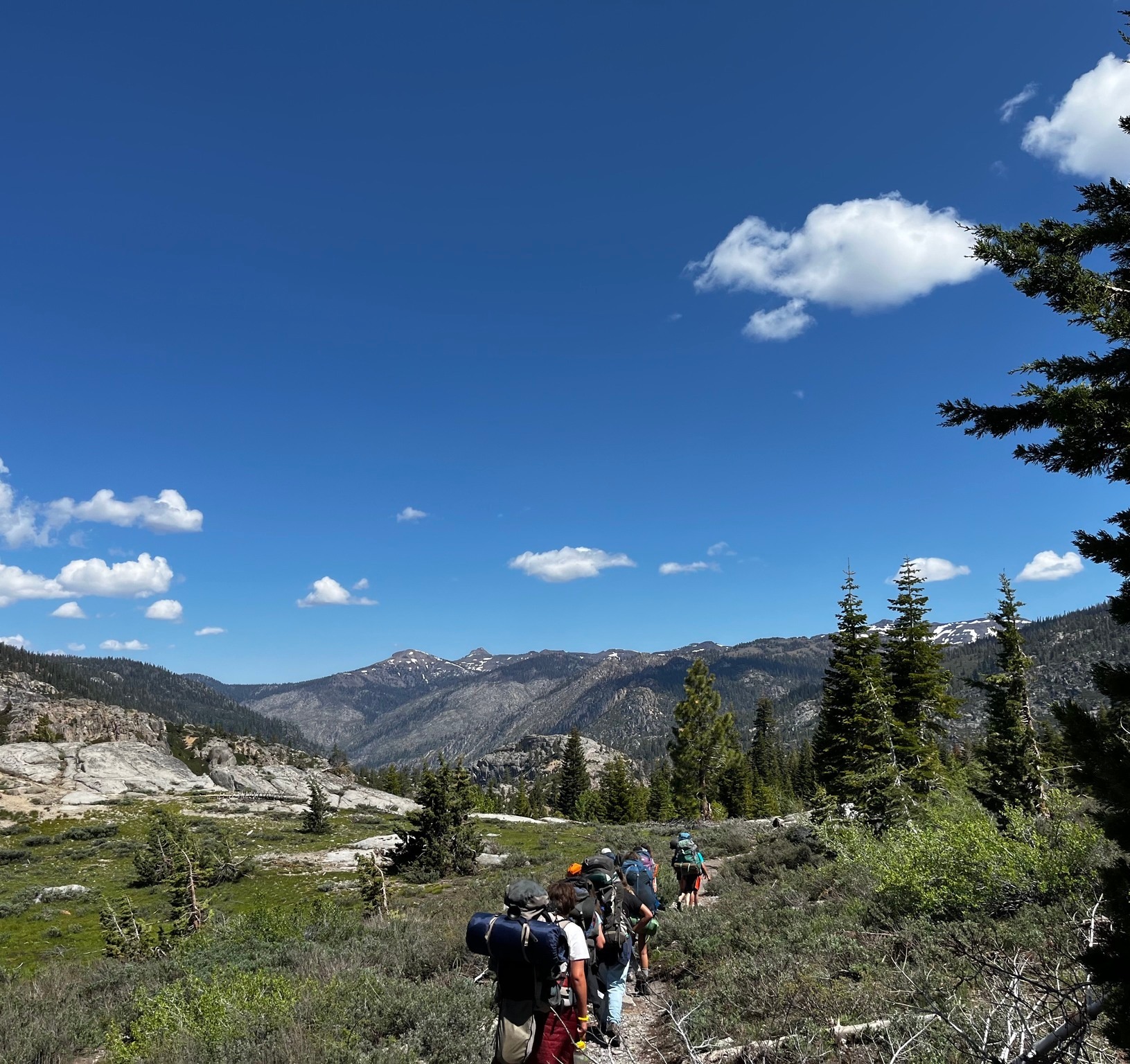 SF Merionettes Artistic Swimming Summer Camp - San Francisco photo 1