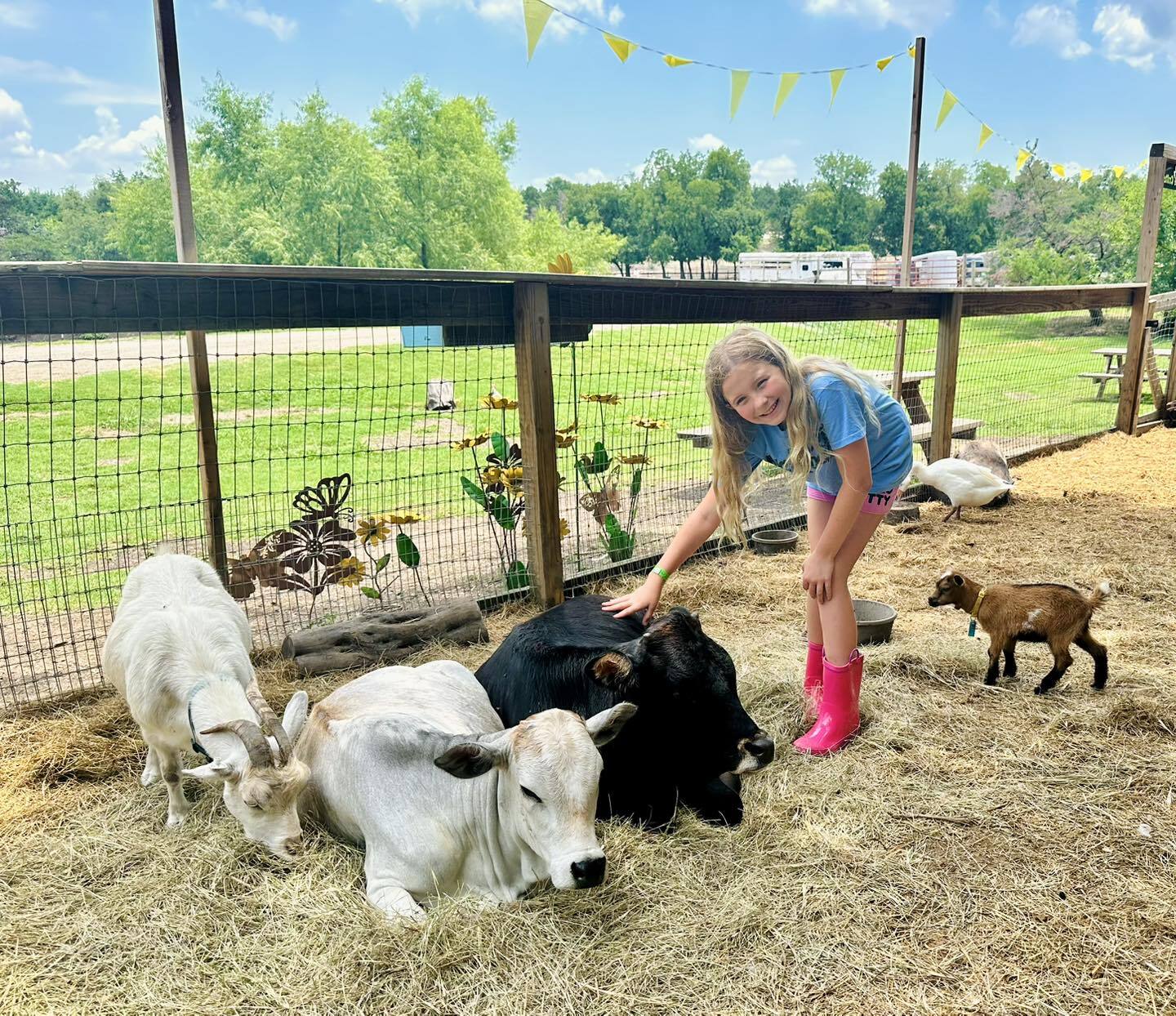 Cathys Critter Camp photo 1