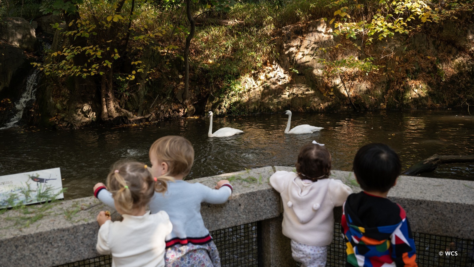 Central Park Zoo Camp