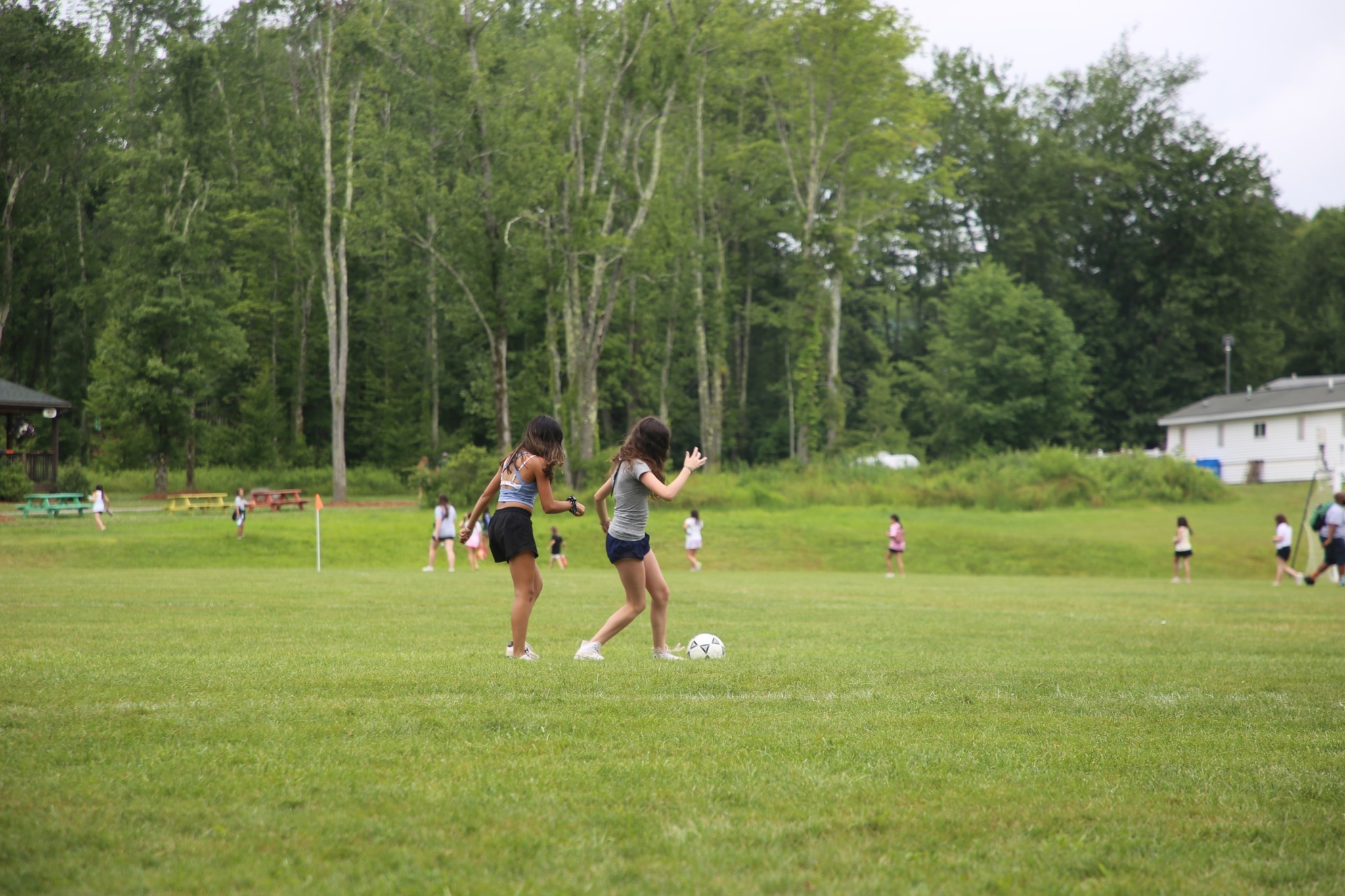 Chestnut Lake Camp photo 1