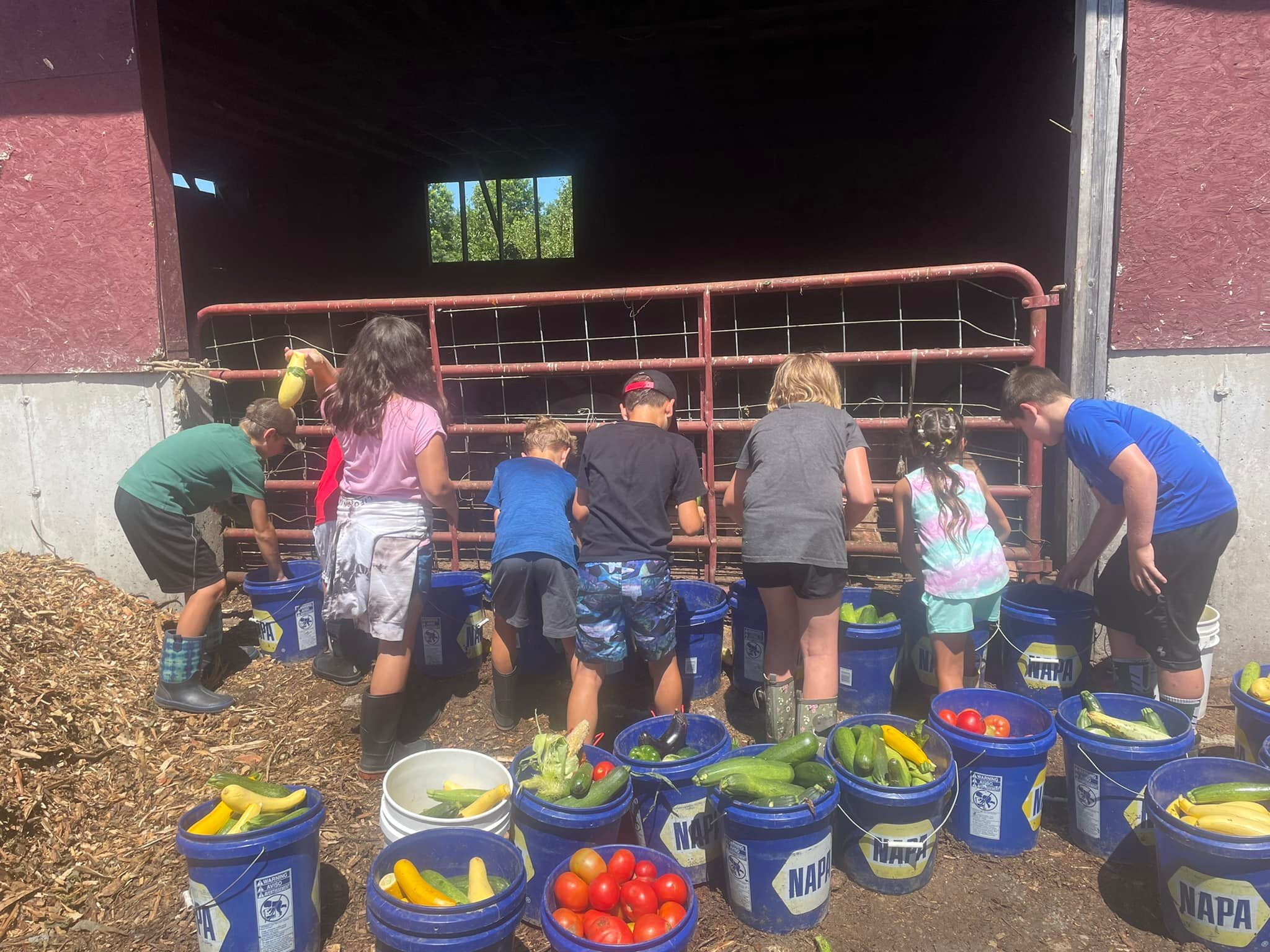 Children’s Agriculture Camp