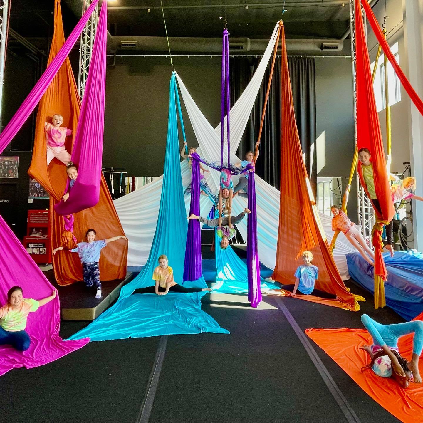 Circus Camp Dragonfly Aerial Company photo 1