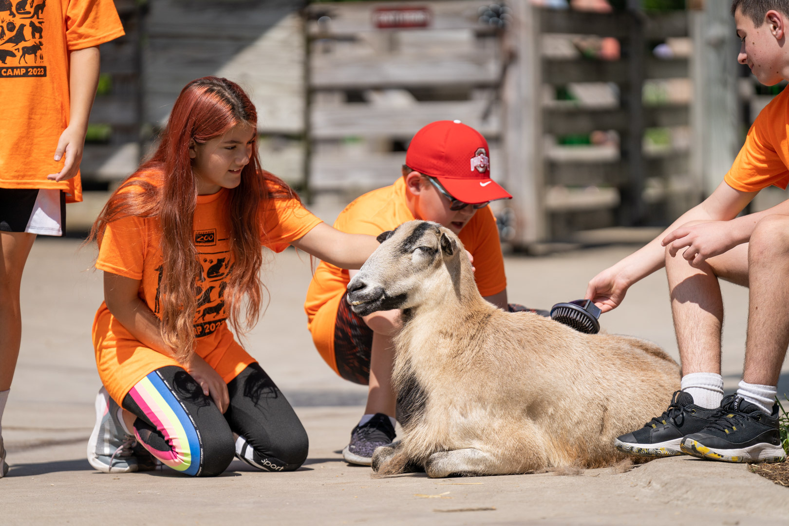 Columbus Zoo And Aquarium Summer Camp