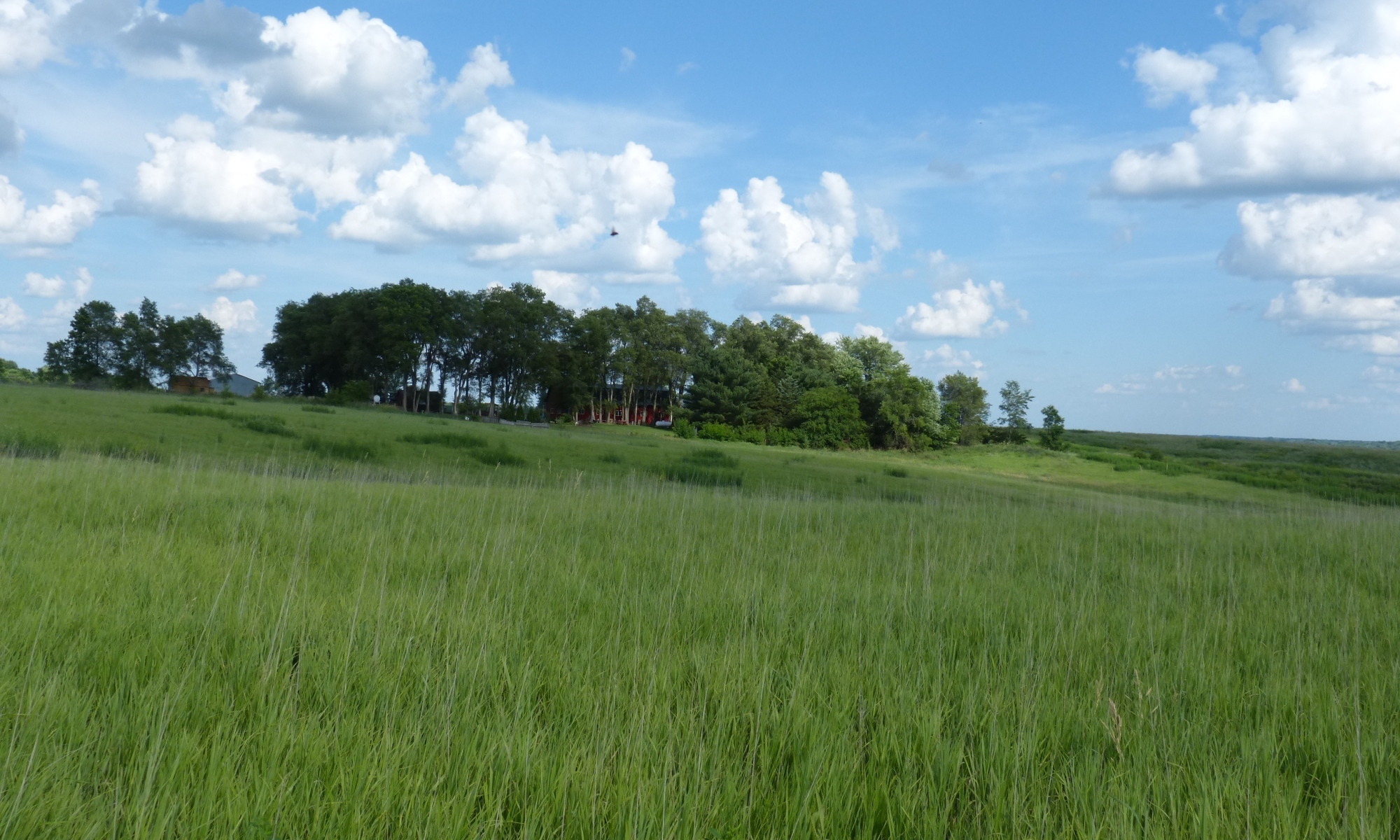 Country Camp photo 1