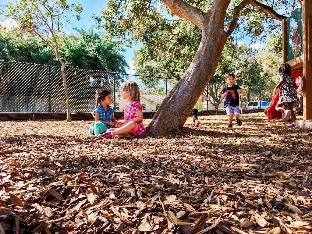 Country Day Horse And Adventure Camps
