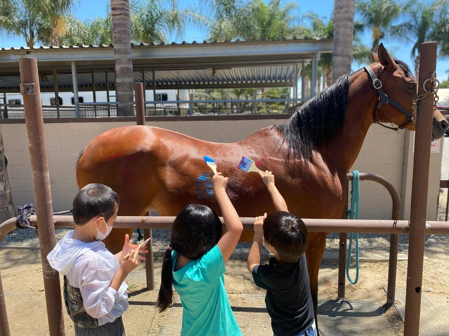 Cowkids Rodeo Camp - McNally Rodeo Arena photo 1