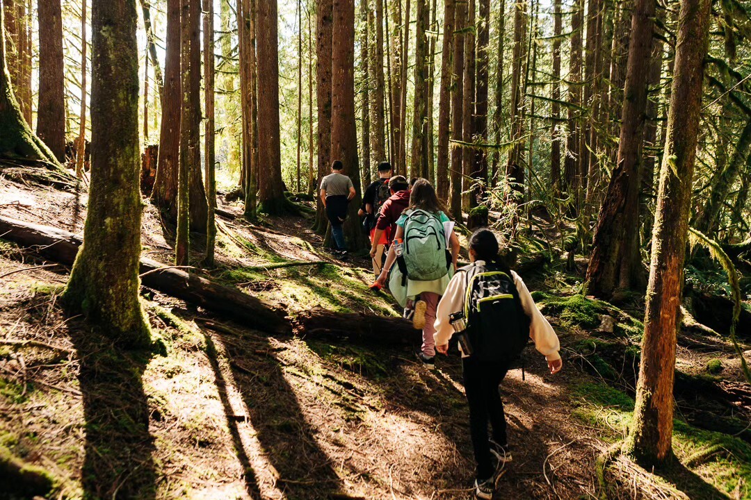 CYO Camp Don Bosco photo 1