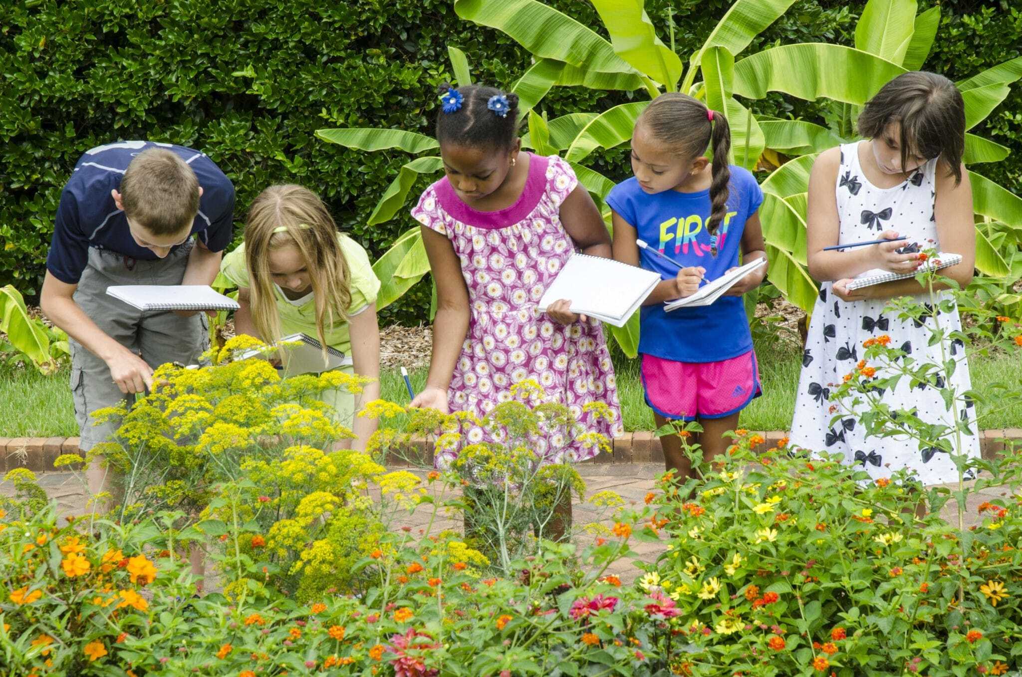 Daniel Stowe Botanical Garden