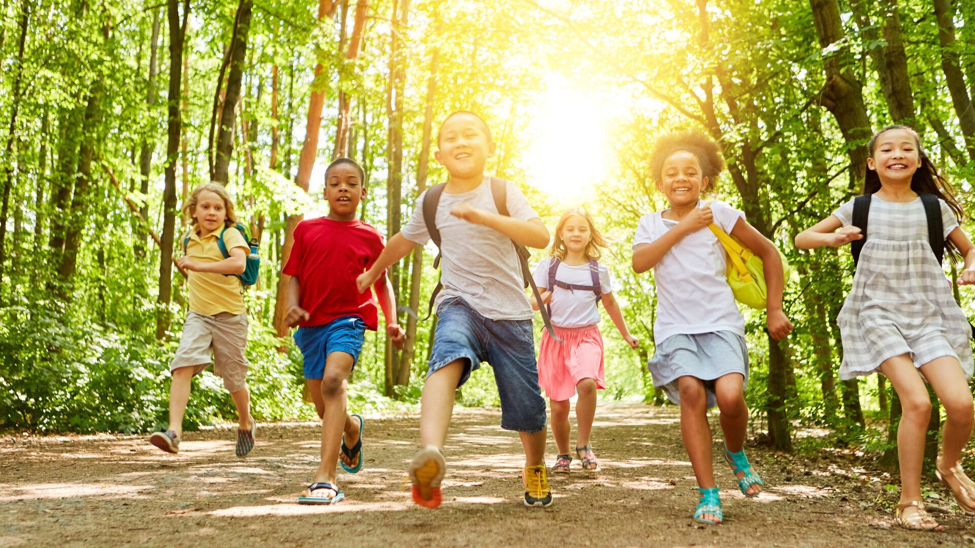 Daniel Stowe Botanical Garden photo 1