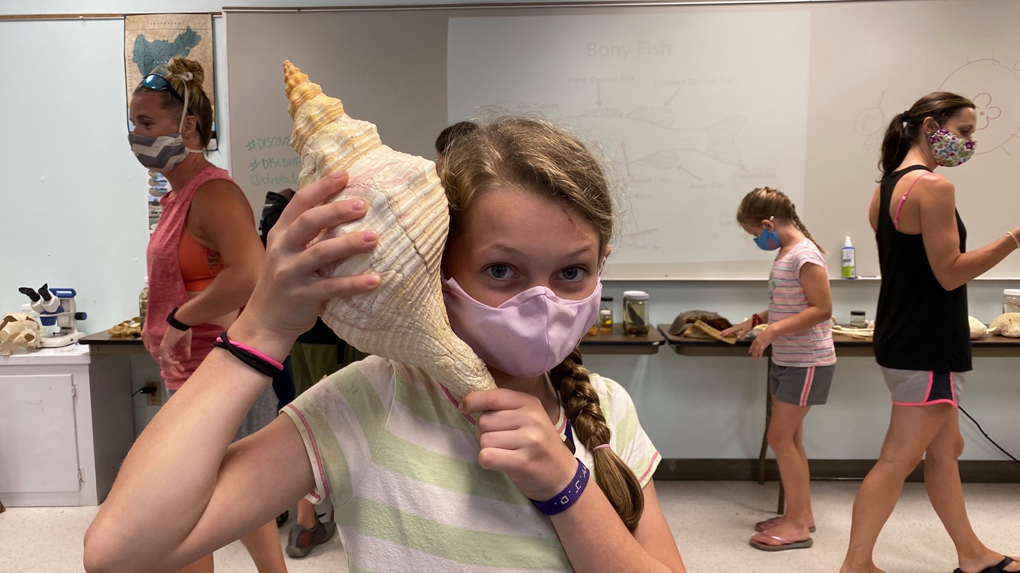 Dauphin Island Sea Lab