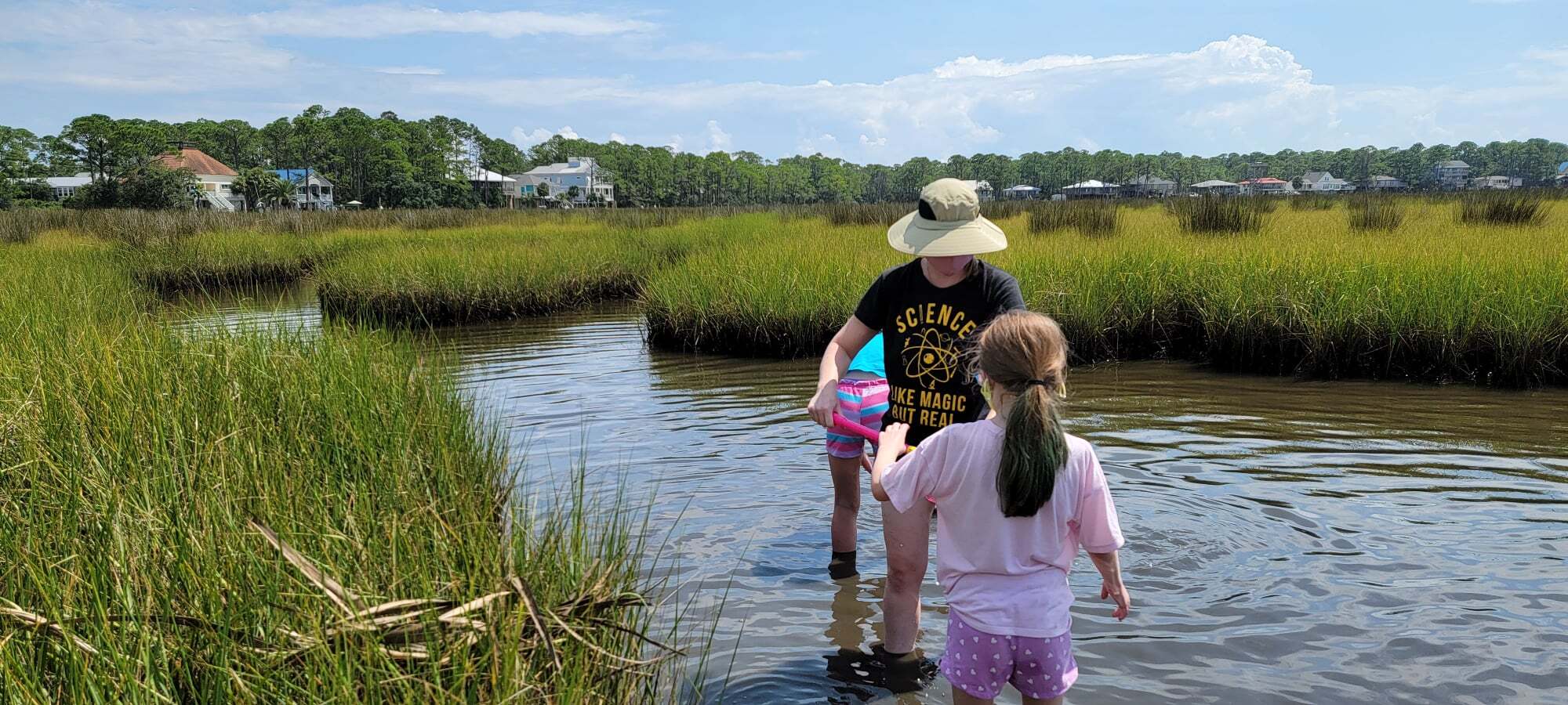 Dauphin Island Sea Lab photo 1