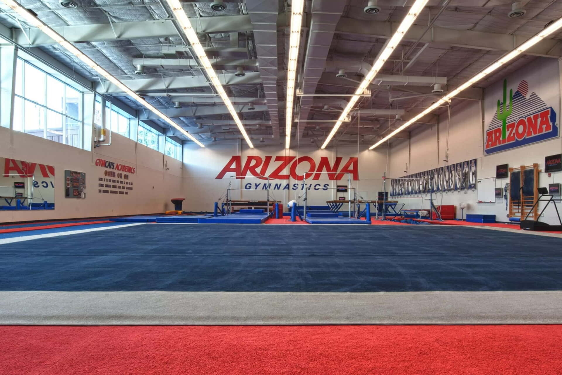 David Rubio Volleyball Camp