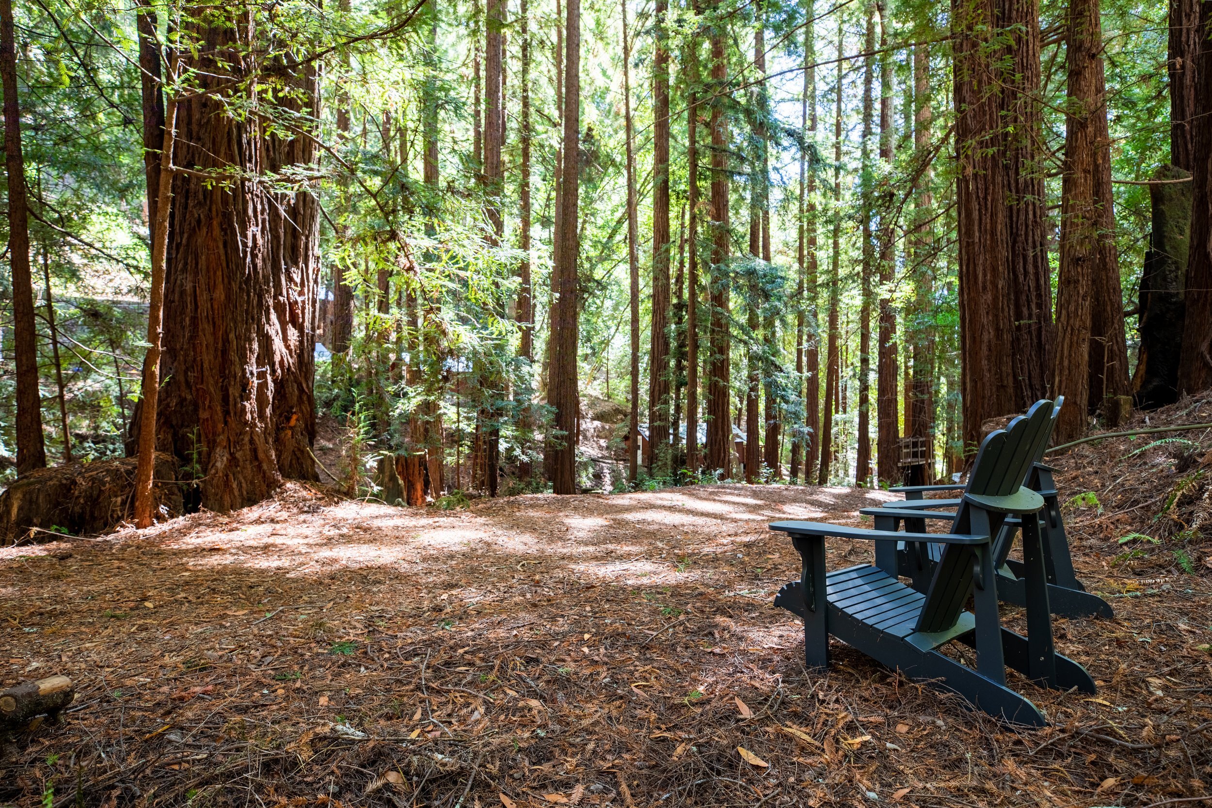 Daybreak Camp Inc photo 1