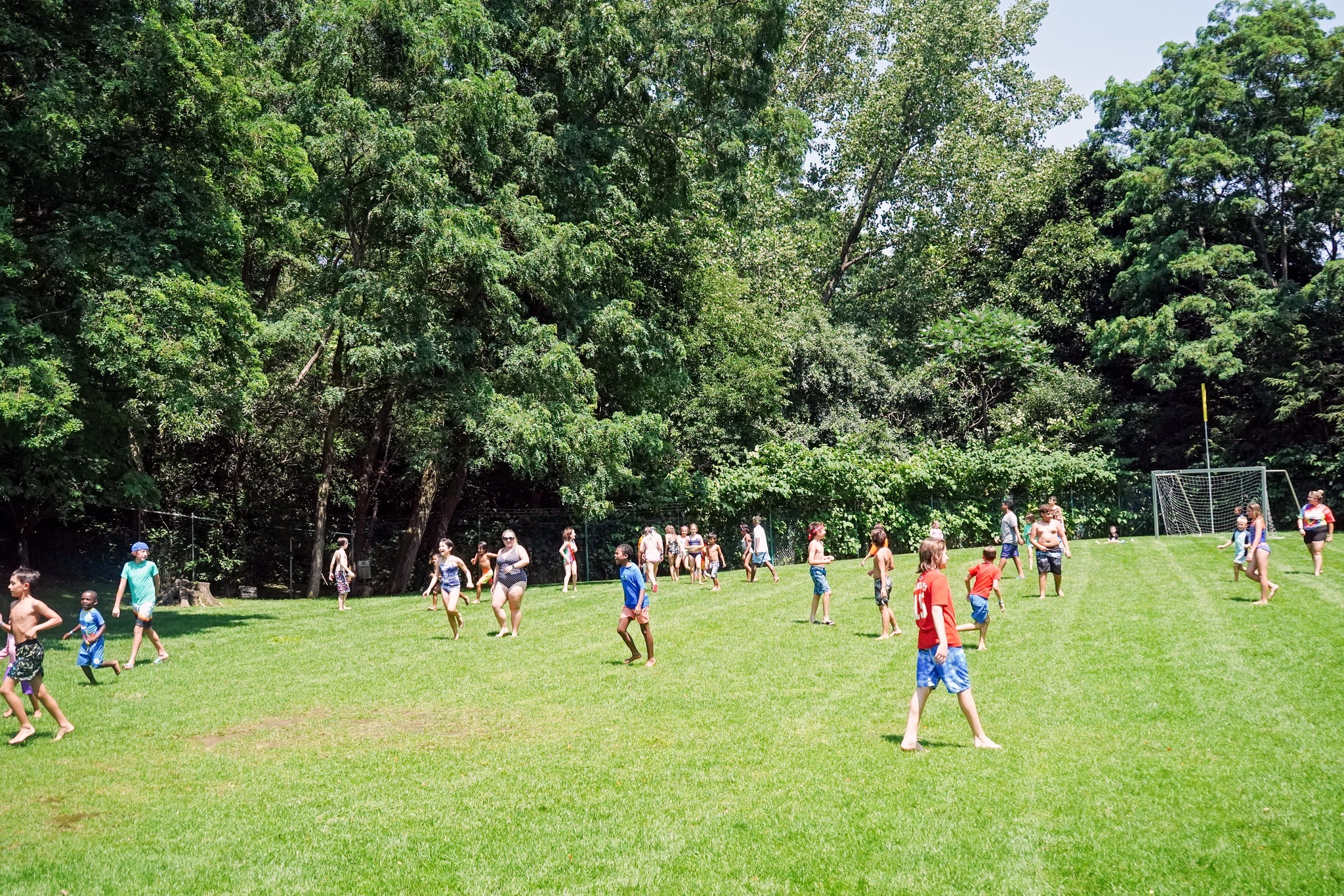 Dedham Health And Athletic Complex Summer Camp photo 1