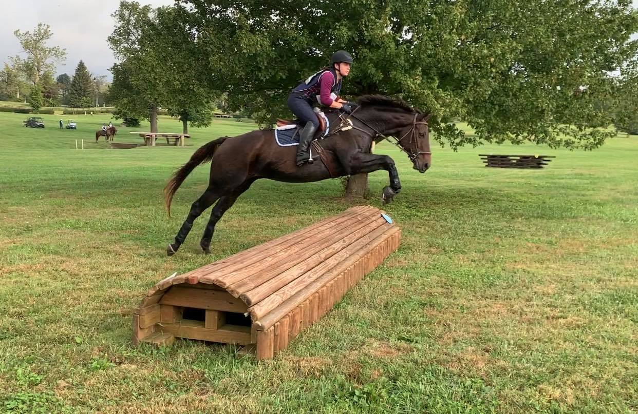 DeLima Stables photo 1