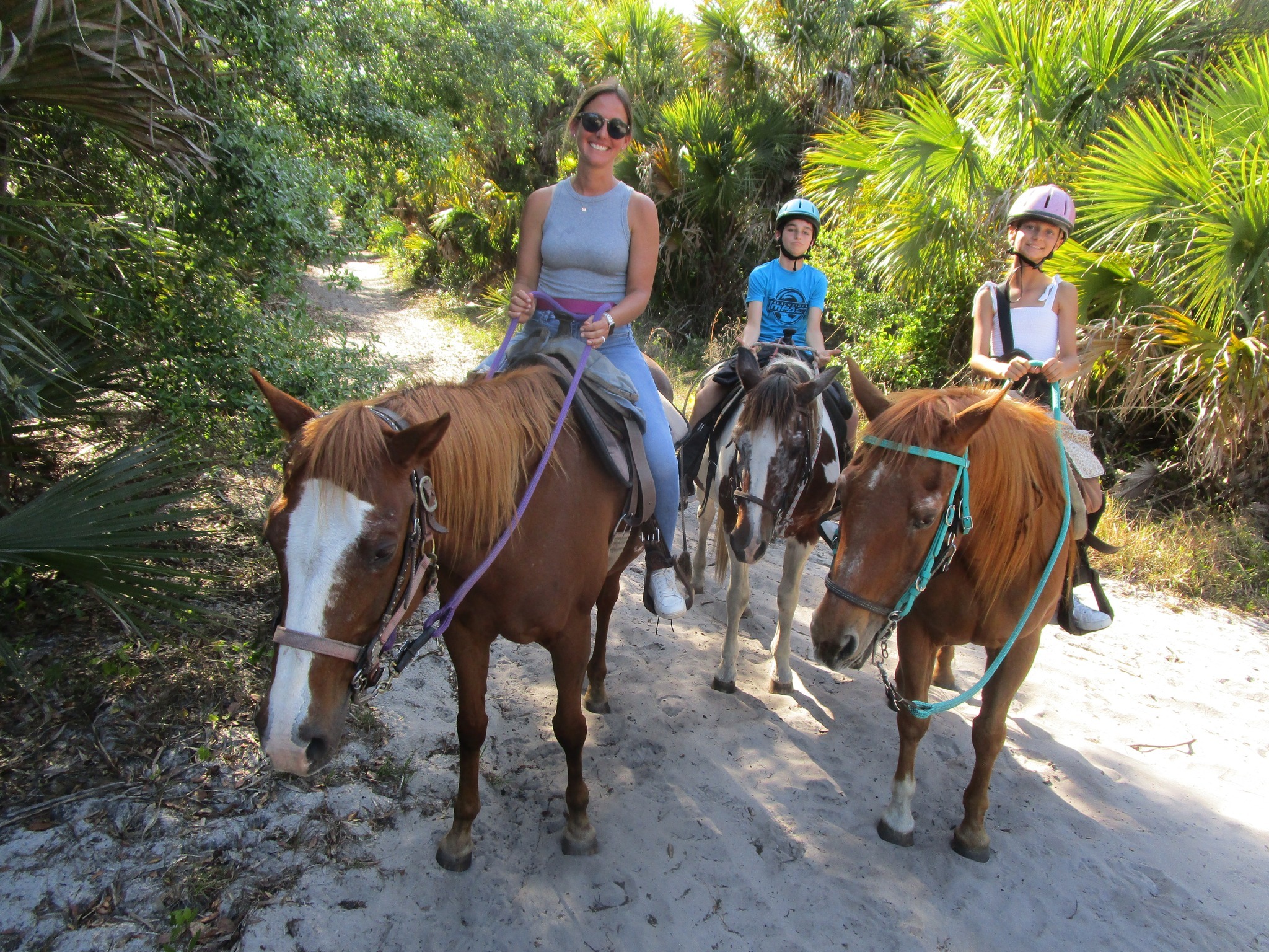 Desert Acres Stables